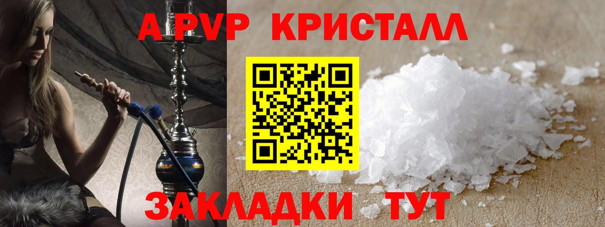 Альфа ПВП СК Губаха