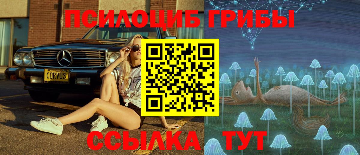 Галлюциногенные грибы Psilocybe  Псилоцибиновые грибы Psilocybe  Губаха  Вход с VPN 