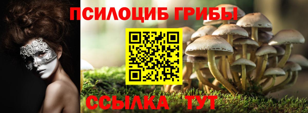 Галлюциногенные грибы прущие грибы Губаха